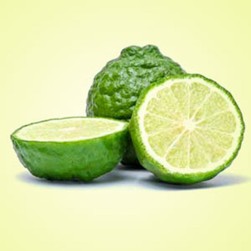 Bergamot