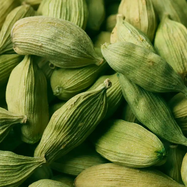 Cardamom Element