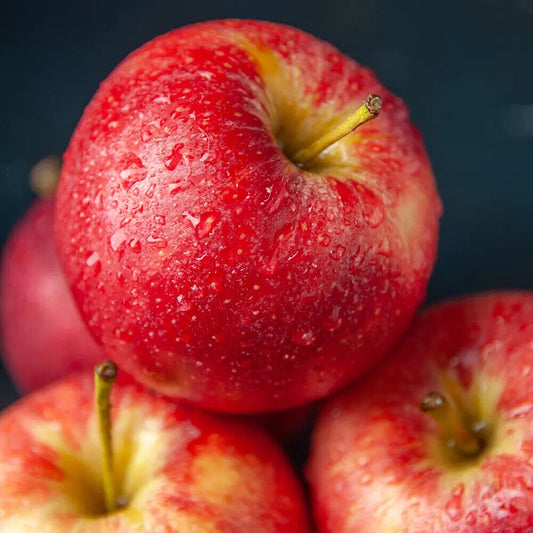 Fuji Apple